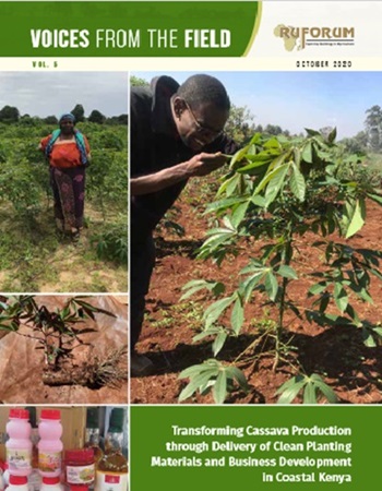 Cassava Transformation