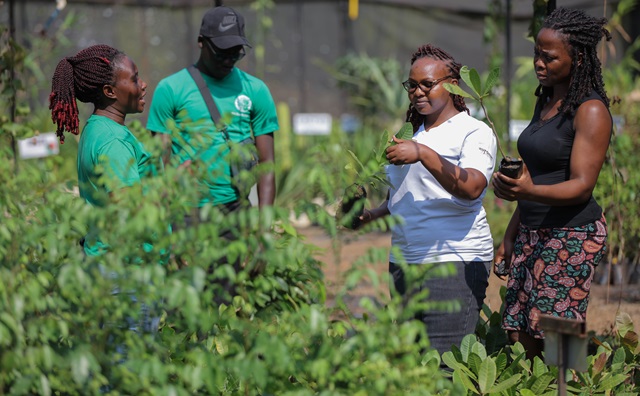 Community agriculture in Africa